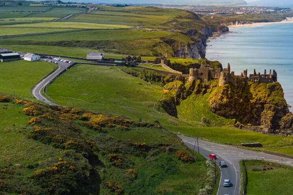 STUDY IN IRLAND